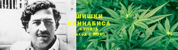 ешки Инсар