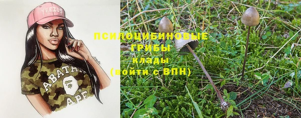 apvp Иннополис
