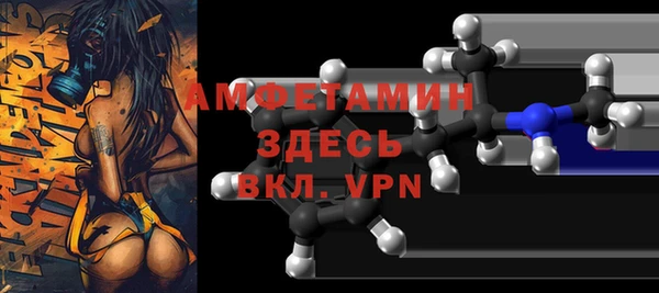 крисы Инта