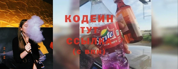 apvp Иннополис