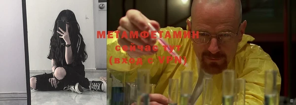 крисы Инта
