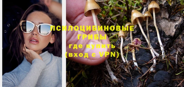 ешки Инсар
