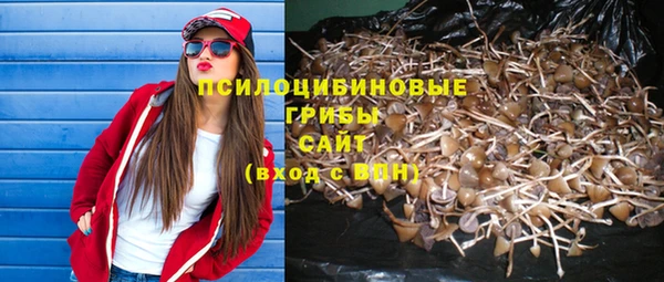 крисы Инта