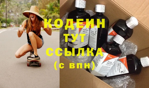 крисы Инта