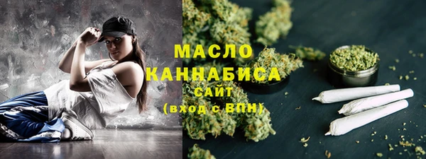 крисы Инта