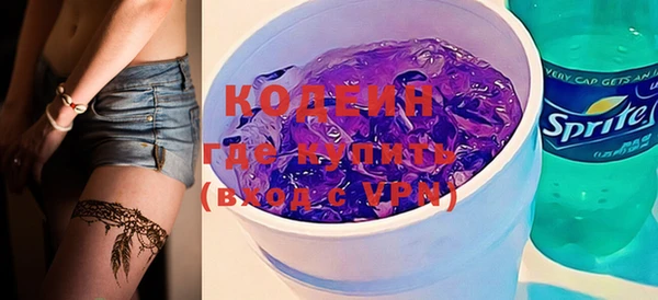 apvp Иннополис