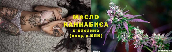 крисы Инта
