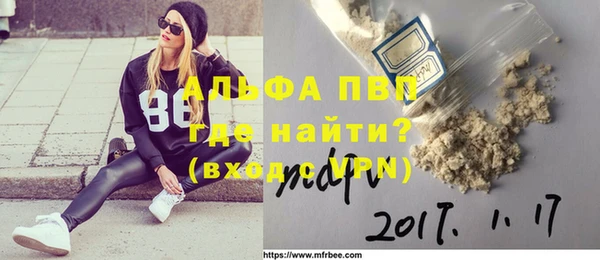 крисы Инта