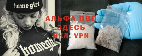 крисы Инта