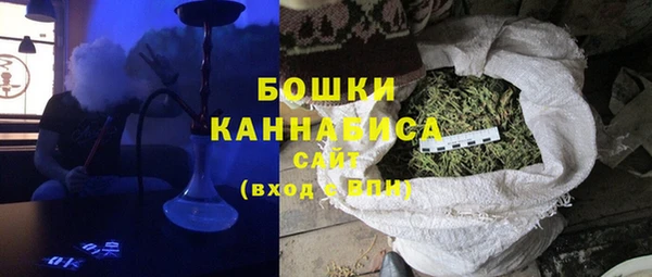 apvp Иннополис