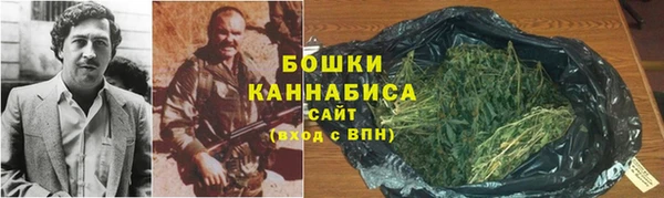 крисы Инта