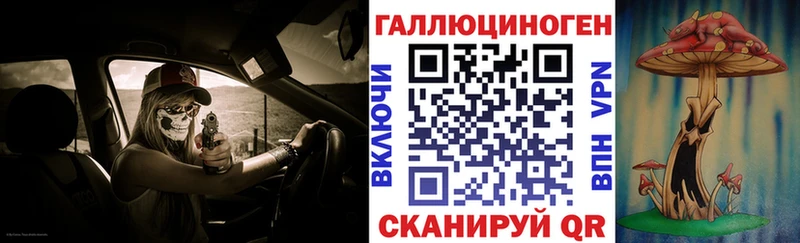 купить наркотики сайты  Бердск  гидра ССЫЛКА  Псилоцибиновые грибы прущие грибы 